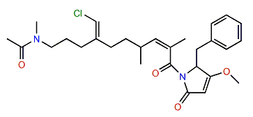 Smenamide B
